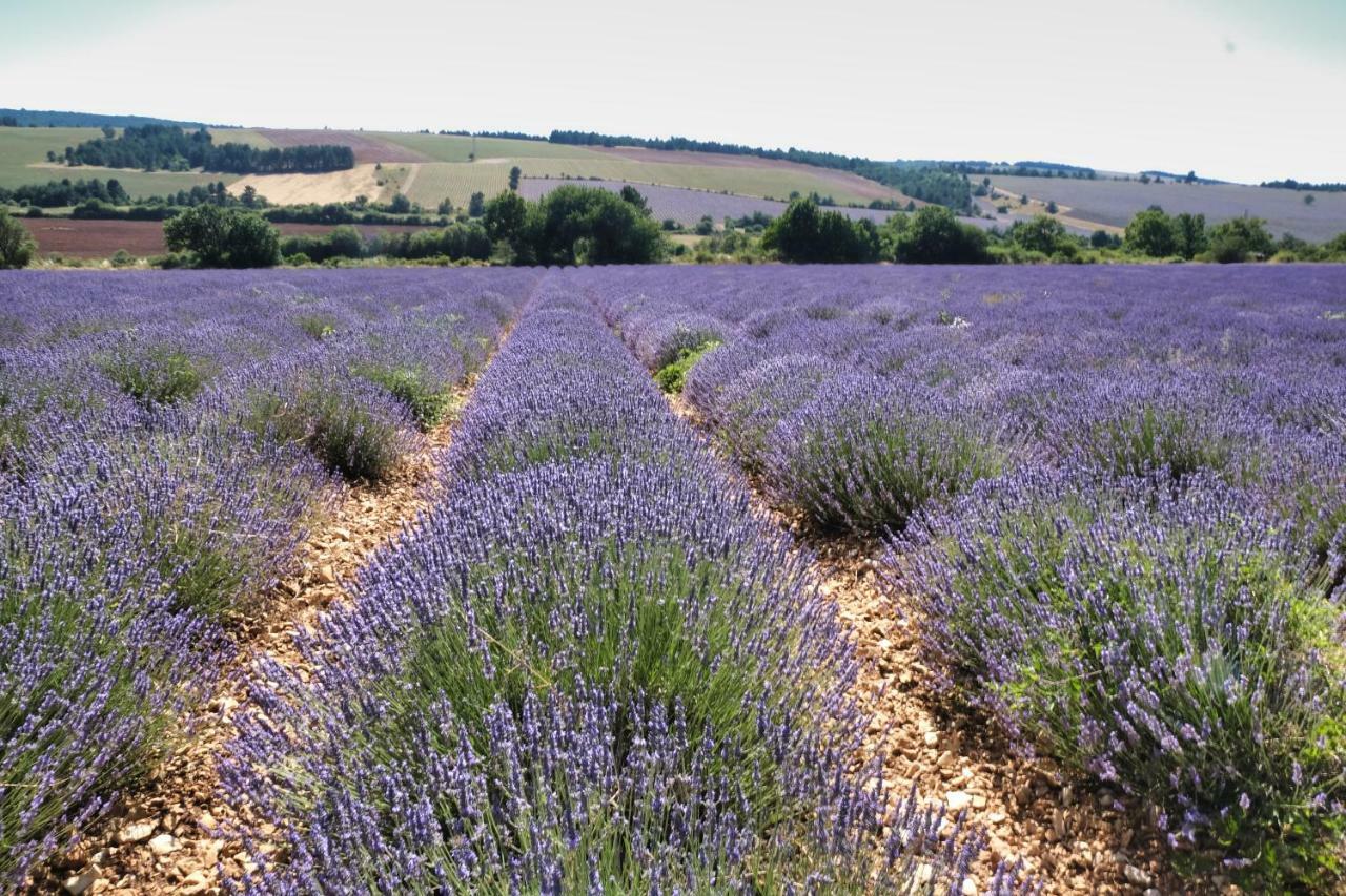 La Bastide Au Ventoux Bed & Breakfast Bédoin Екстериор снимка
